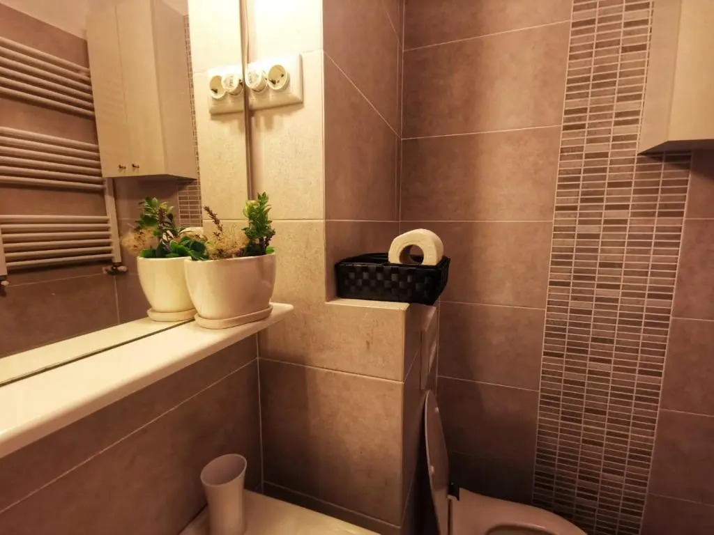 Apartament Palas 2 camere