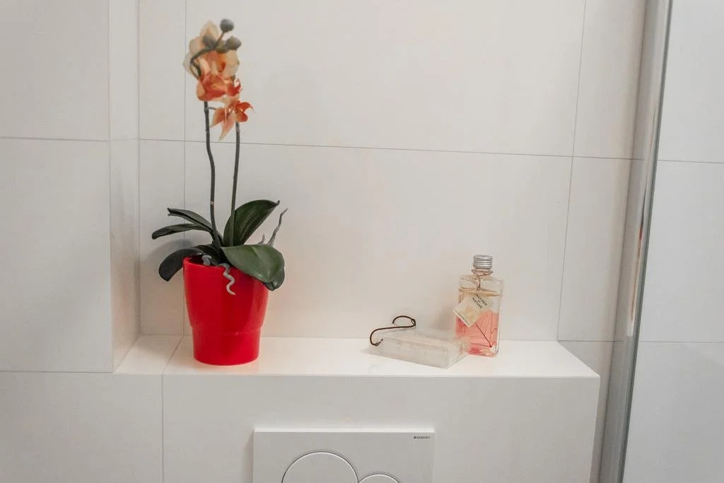 Apartmány Hradební