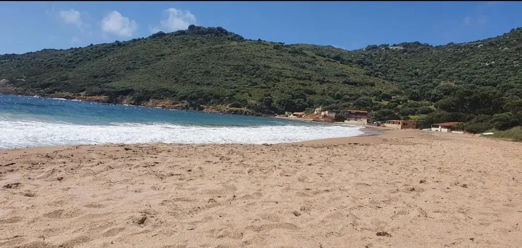 Corse