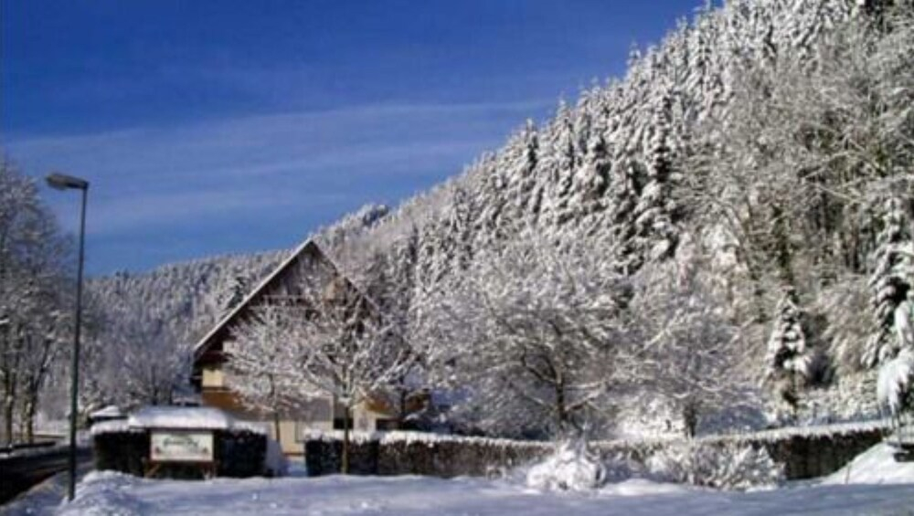 Grüner Hof