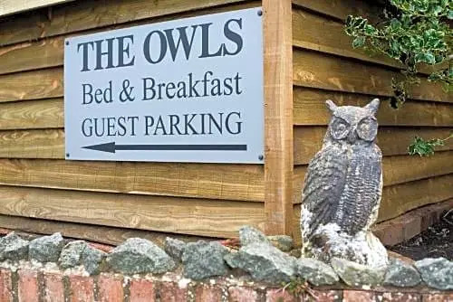 The Owls