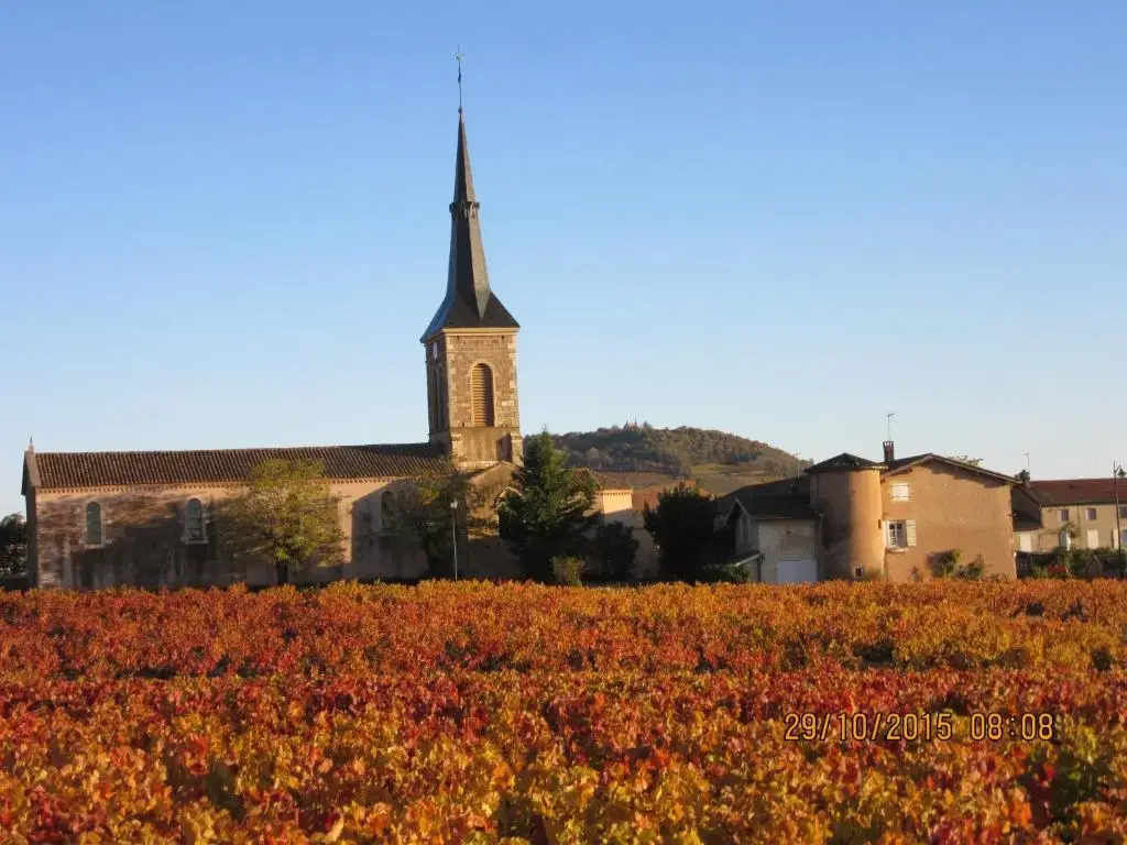 Domaine du Barvy