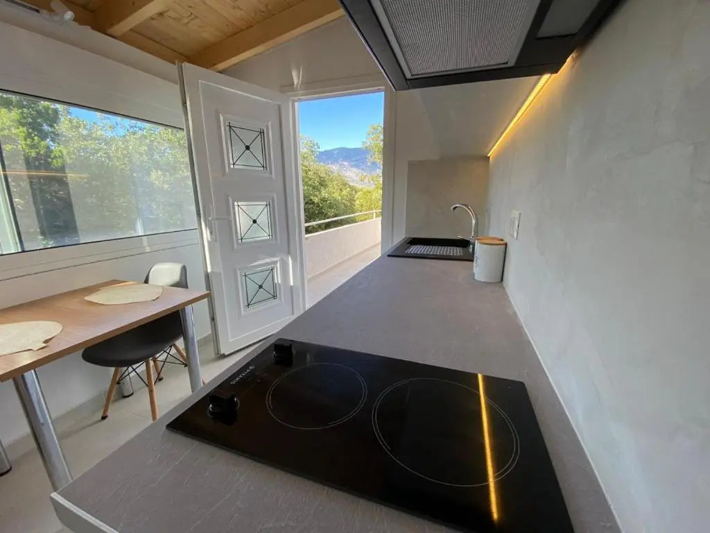 Alexander studio