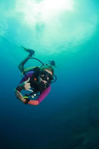 Bongo Bongo Divers