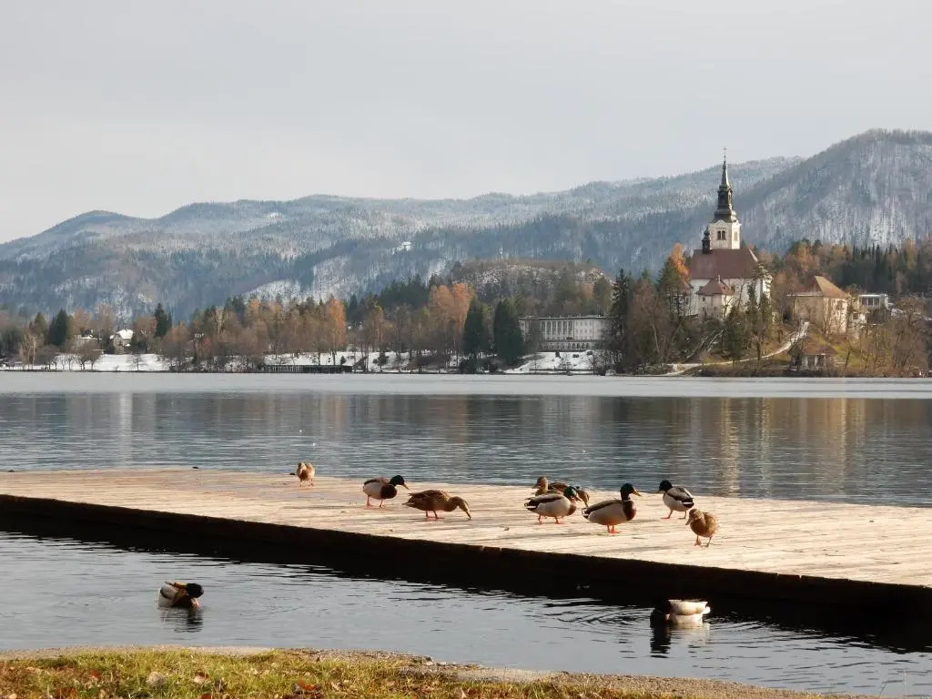 Lake House Sebanc