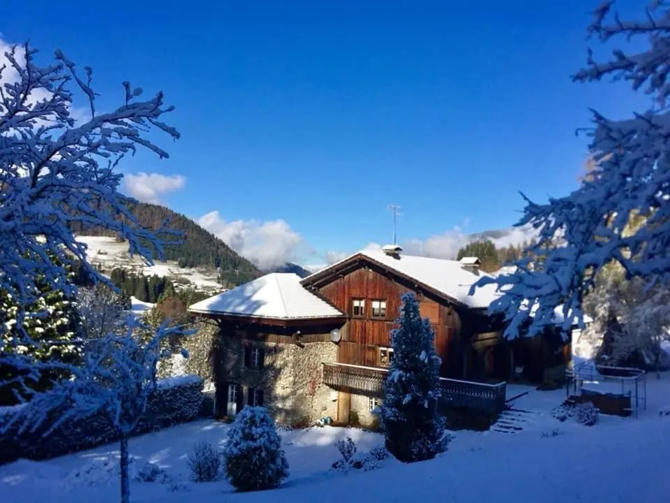 alpine apartment