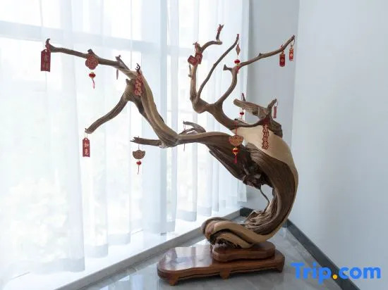 Ziyang Holiday Hotel (Zhengzhou Hanghai Square Subway Station Branch)