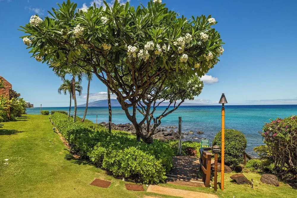 Kuleana Club - 404