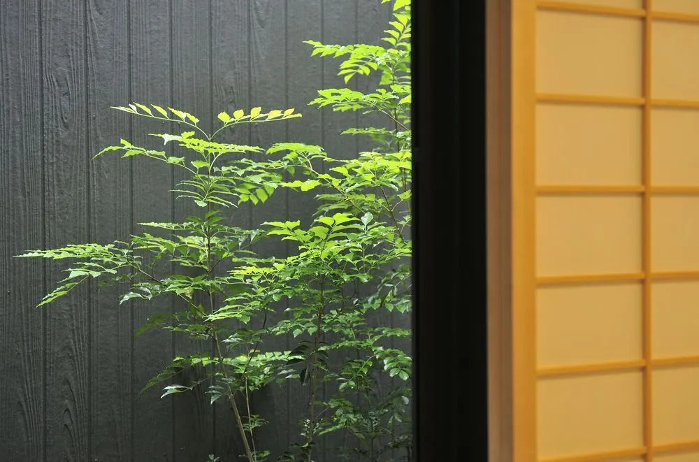 Fugabettei Kyoto Tanbaguchi