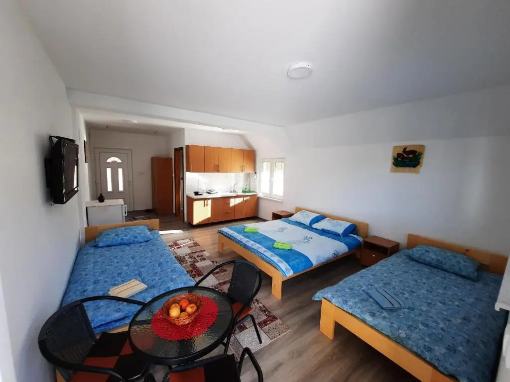 Apartmani Vila na Drini