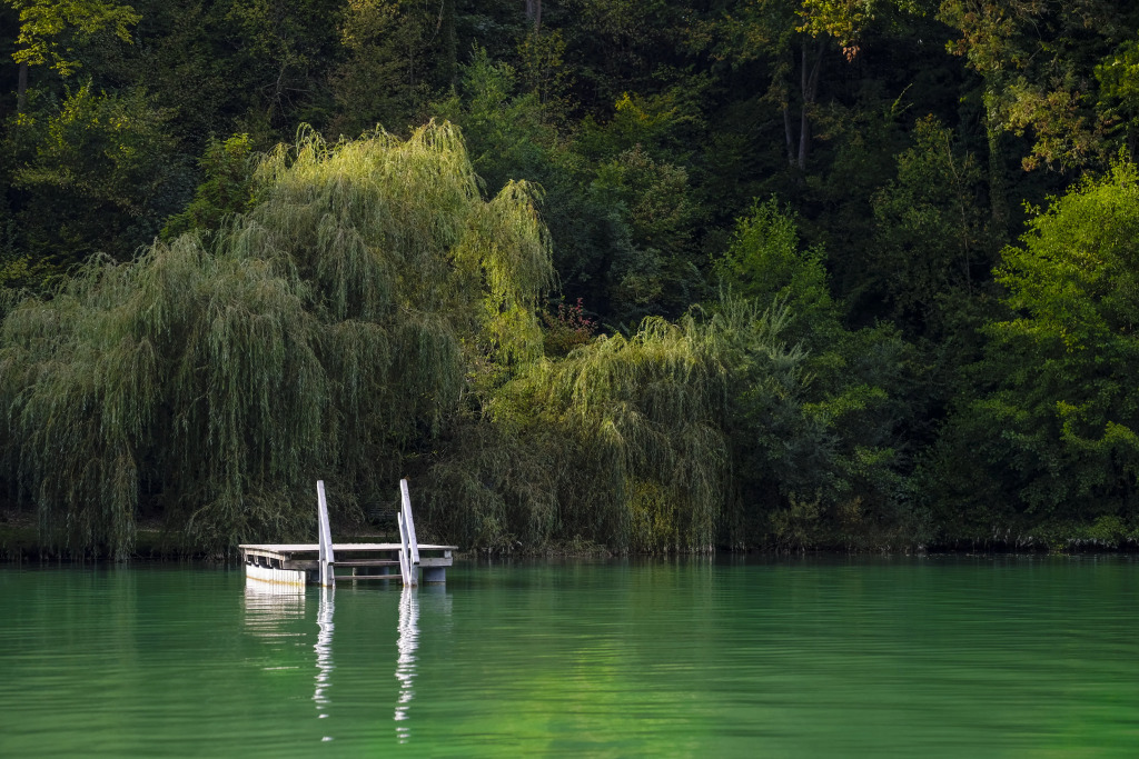 Gartenhotel Salzach