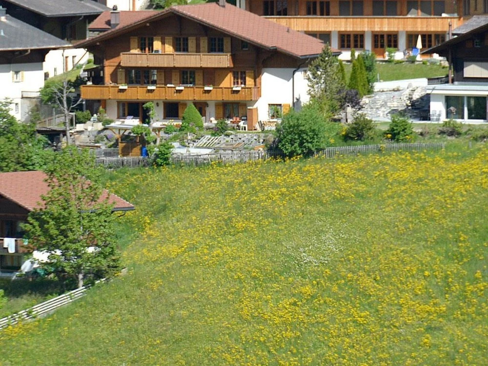 Marielle Adelboden in Adelboden