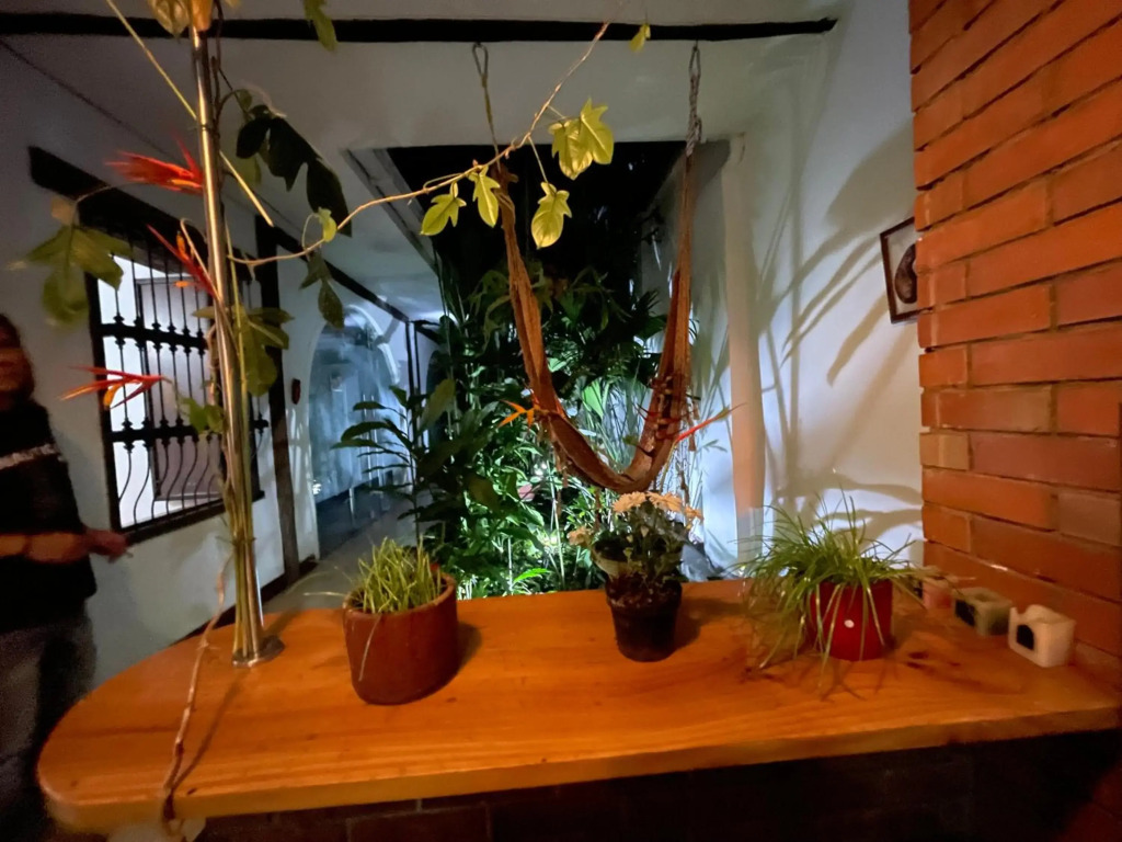 Nuevo Rumbo San Antonio Hostal