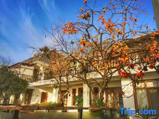 Wenzhou Jinli Yunshe Inn