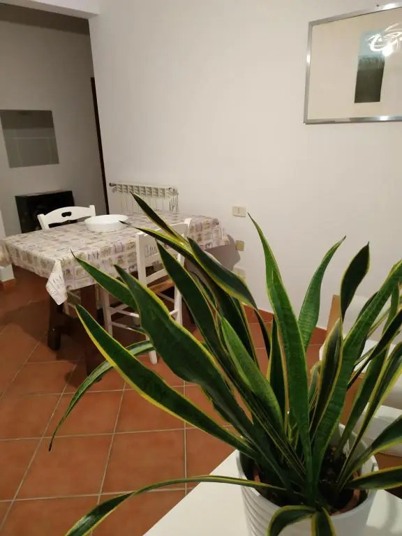 Il Giglio Appartamenti