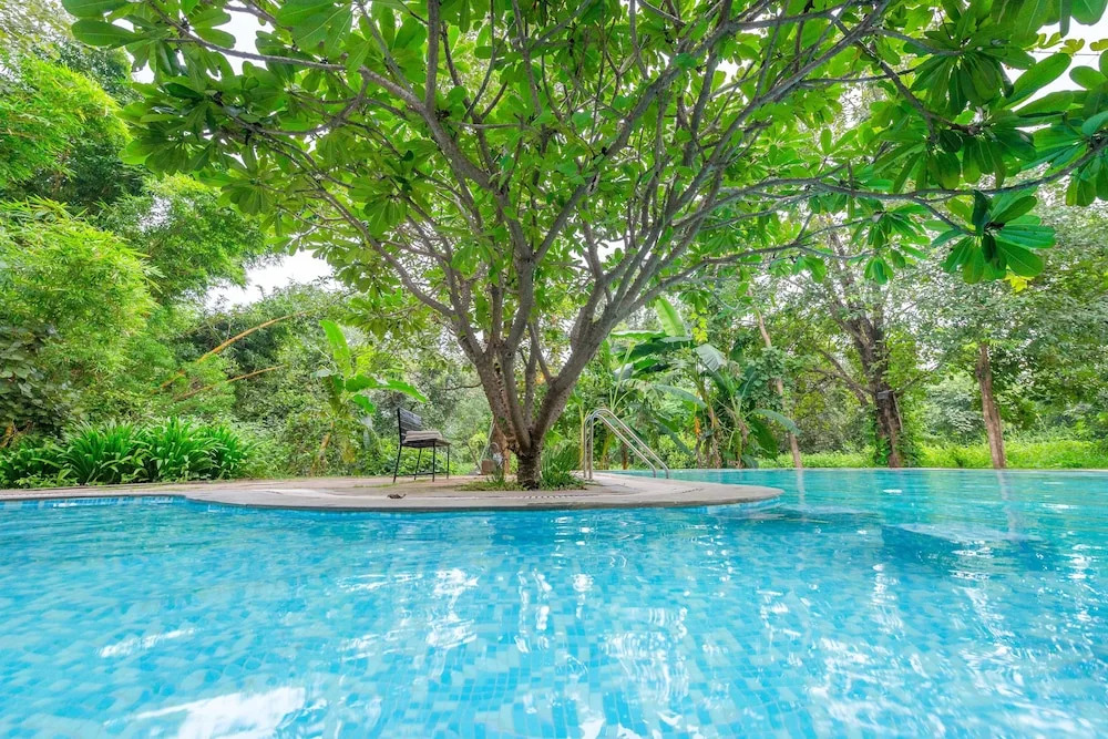 Mahua Vann Pench