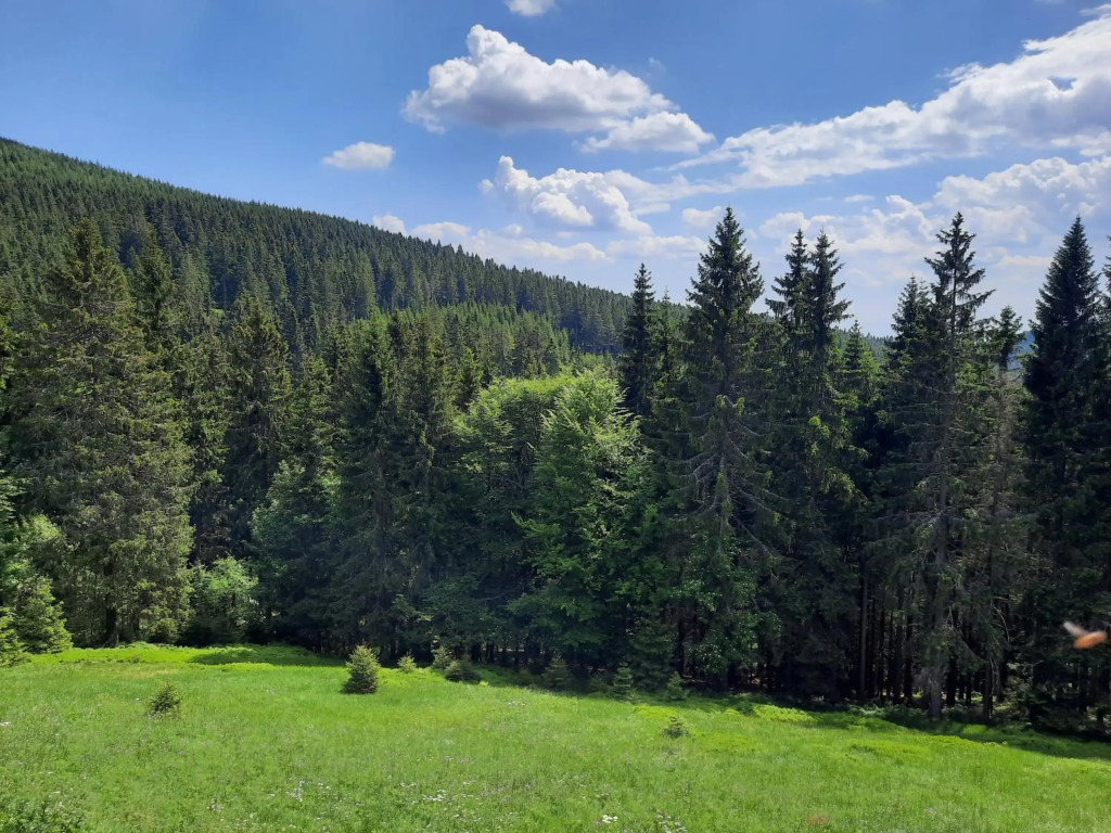 Velký apartmán Cihlarka pro až 17 osob