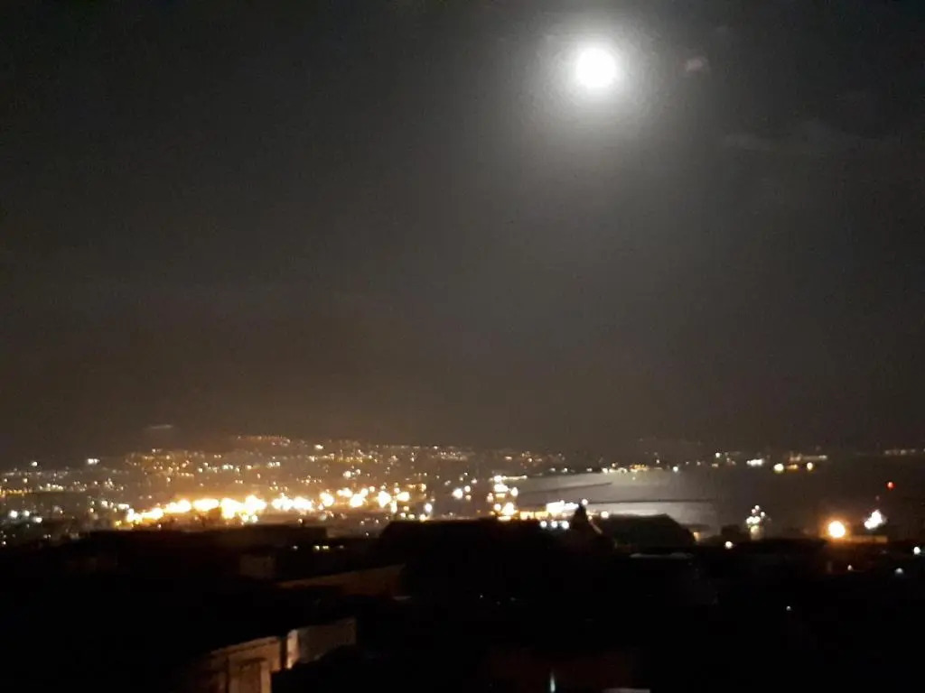 Il Volo del Gabbiano