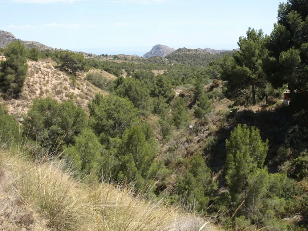 Casa Rural Jijona