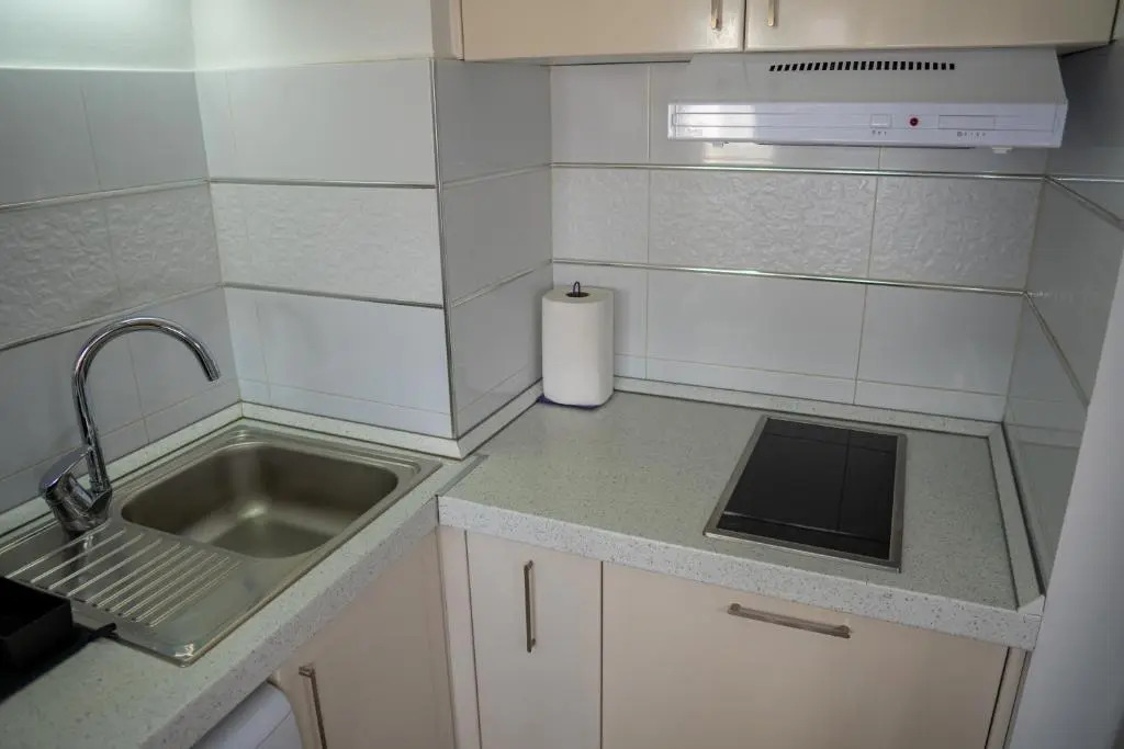 Studio Apartment Vlado