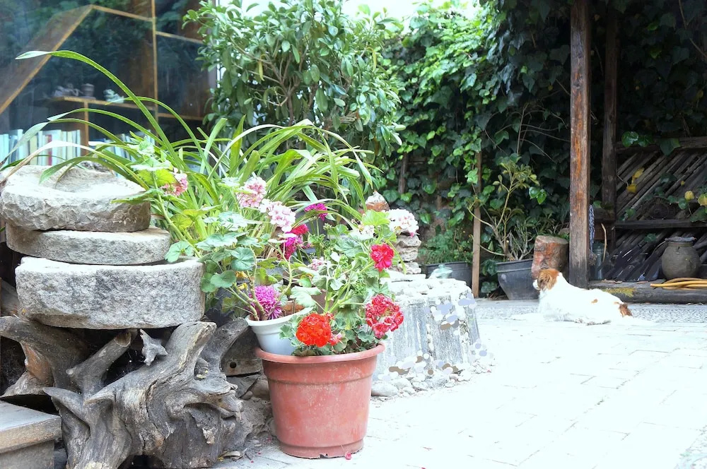 Delamu Inn