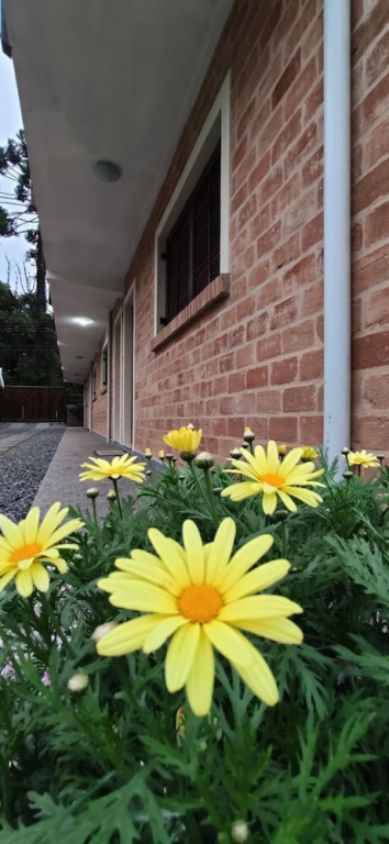 Vila Velasco