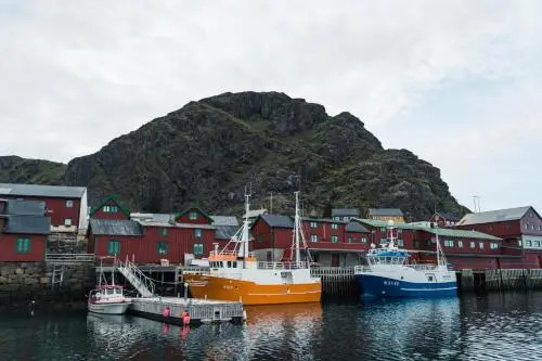 Live Lofoten Fishermens Cabins