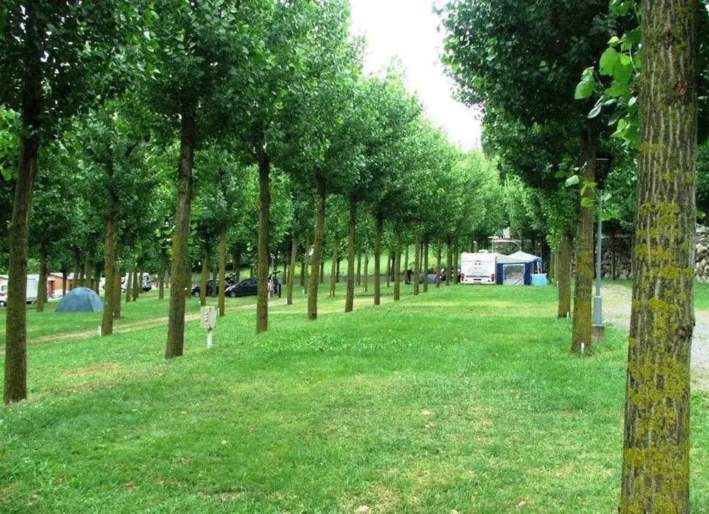 Bungalows Nou Camping