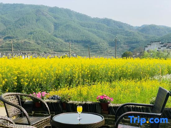 Wuyuan Mushe Light Luxury Beauty Hotel