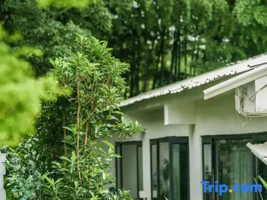 What kind of lemon pool homestay in Changsha