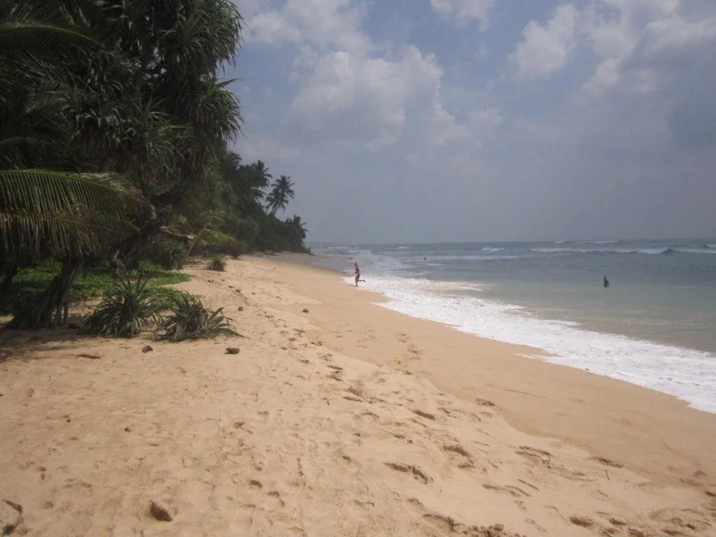White Surfing Beach Resort