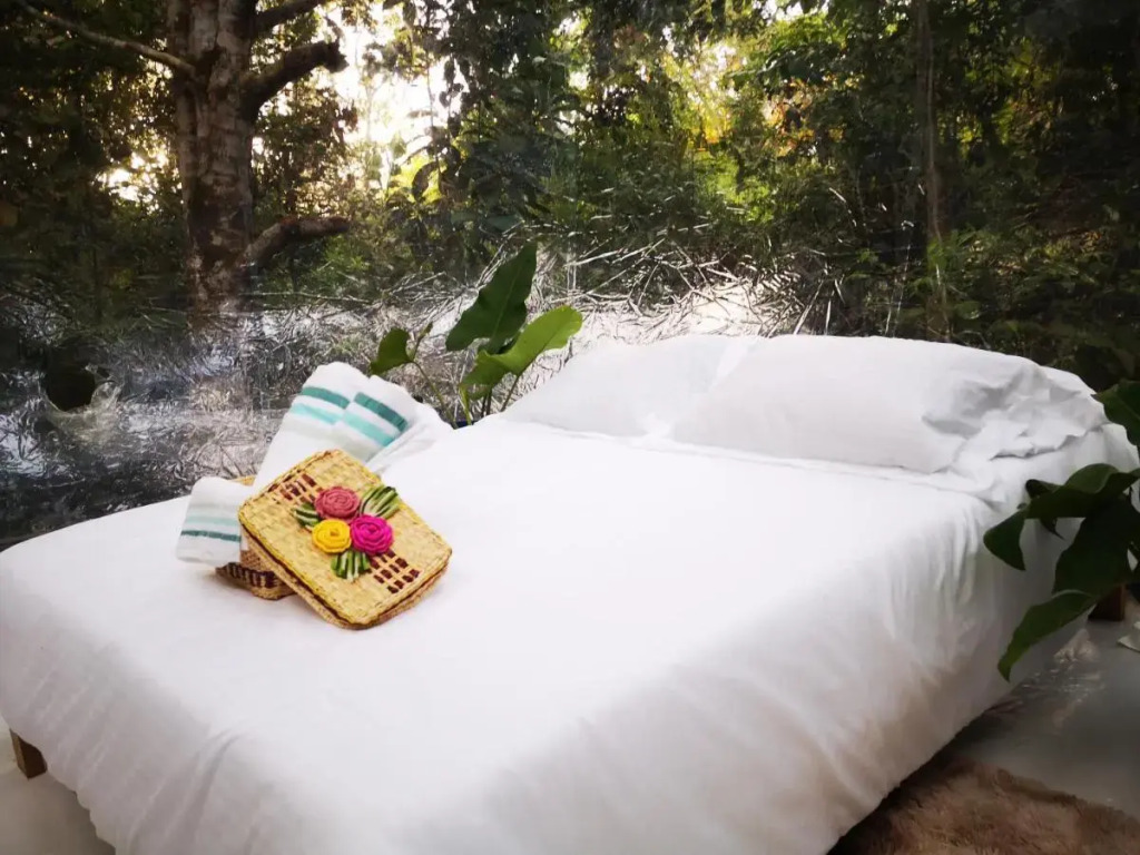 Glamping Amazonas