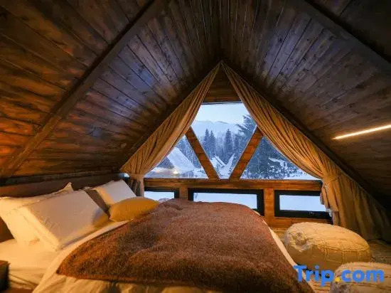 Tree Talk Homestay
