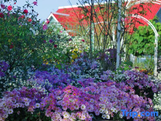 Redding Garden Homestay (Sunac Tourism Resort)