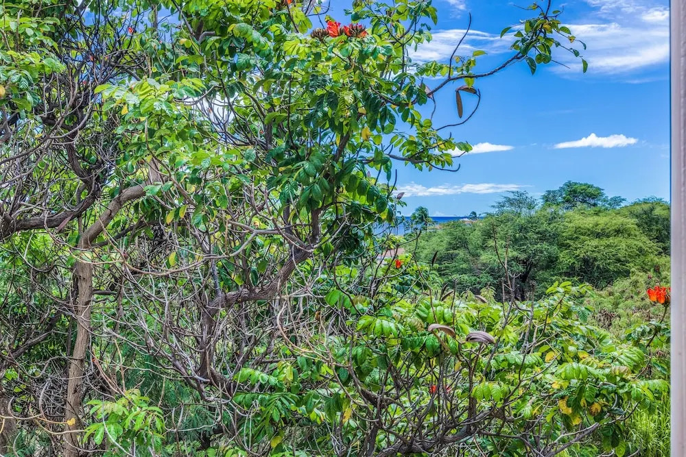 Hale Aloha 2 Bedroom Condo