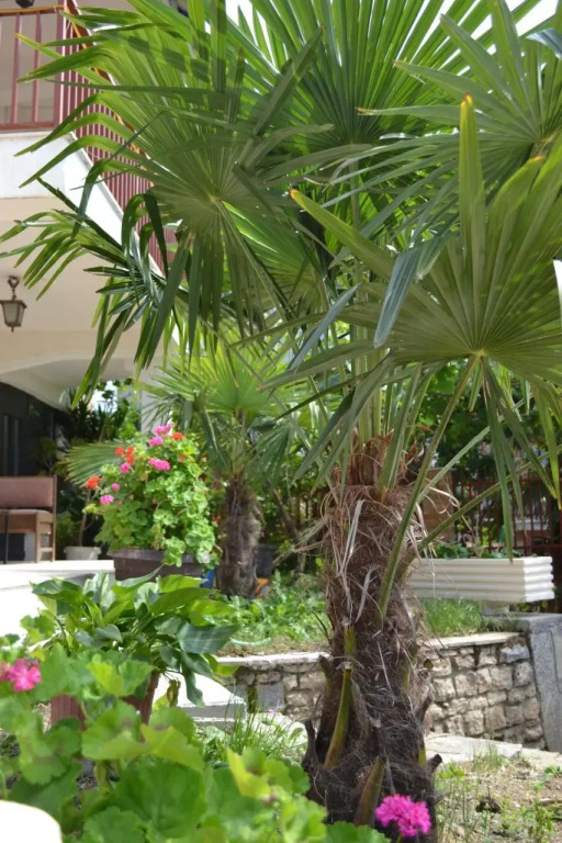 Villa Fania