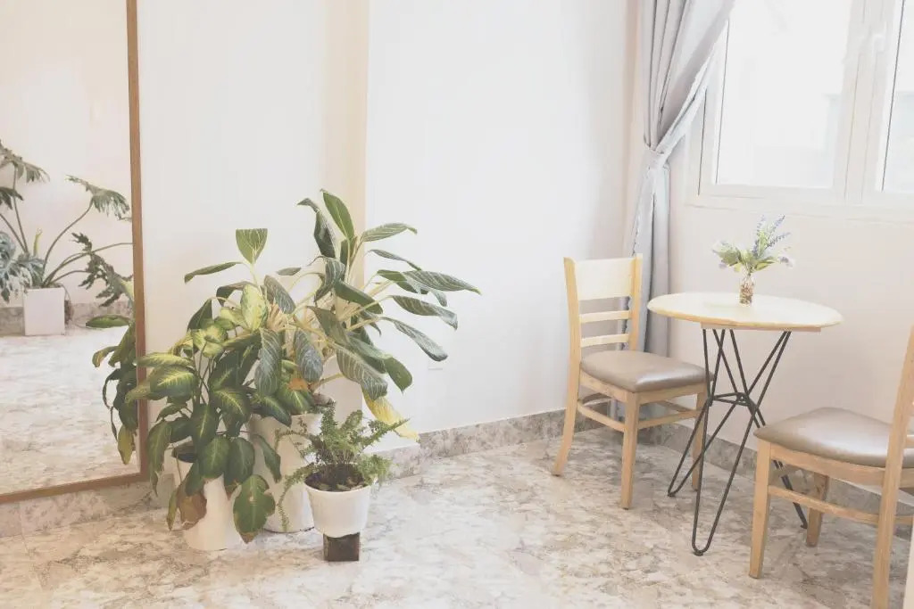 NEST HOUSE Homestay