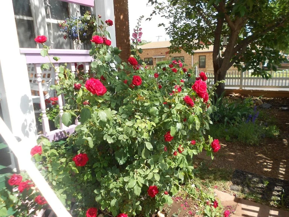 Violet Rose B&B