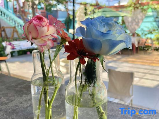 Hi YiLi·blue lane villa(Yili Old Town Kazanqi Branch)