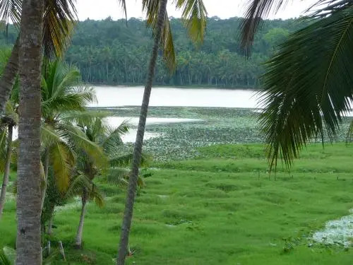 Ganesh Ayurveda Holiday Home
