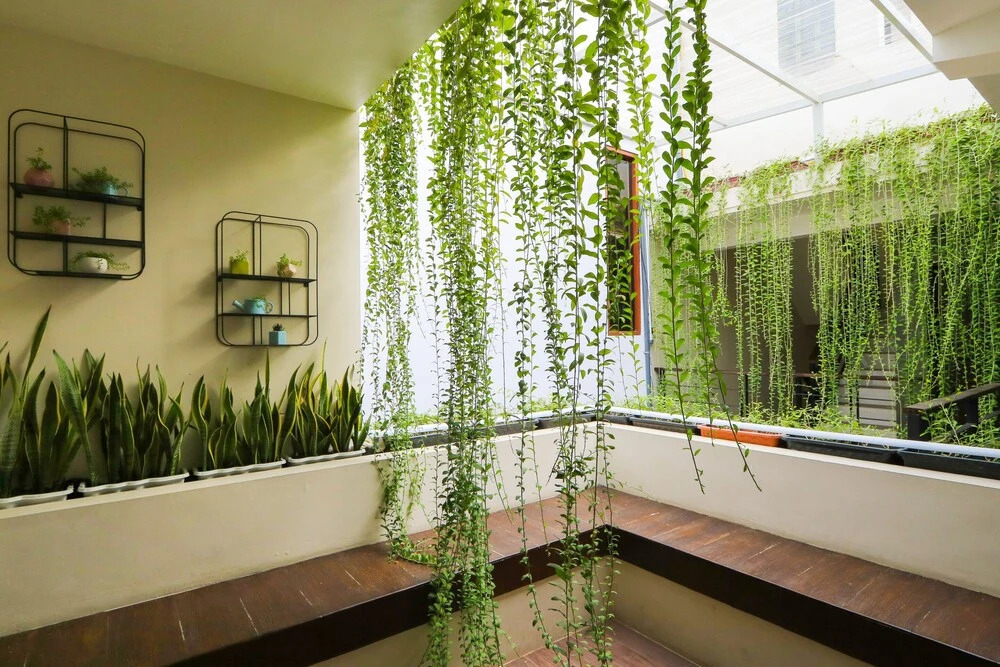Albanis Family Residence by OYO Rooms