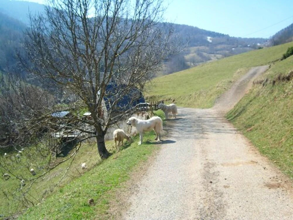 Chalet With 2 Bedrooms in Boutx, With Wonderful Mountain View, Furnished Terrace and Wifi
