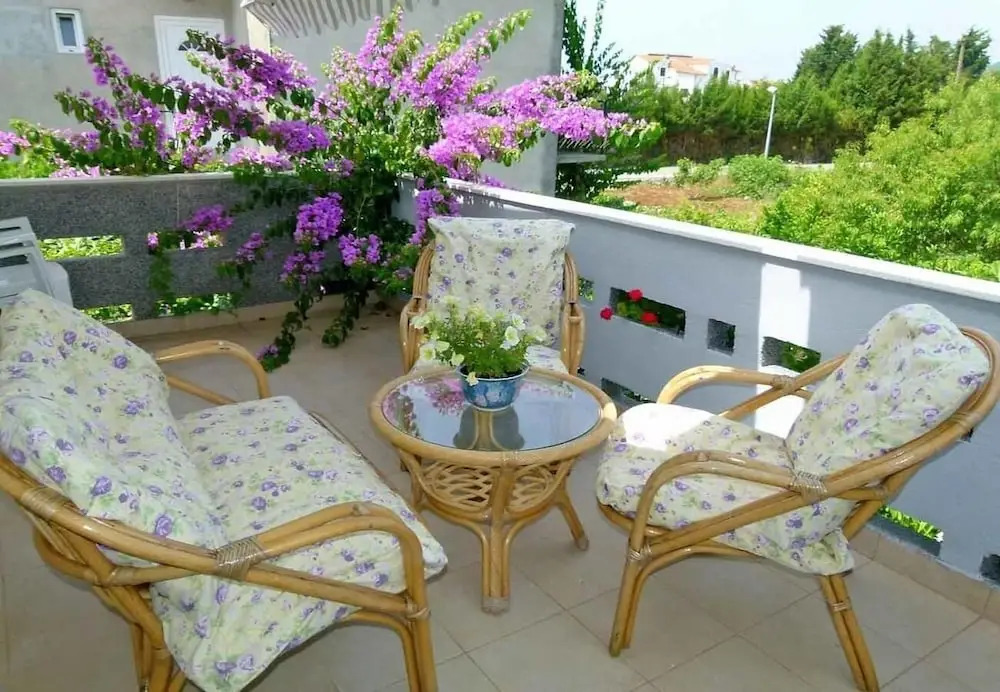 House Zeljko