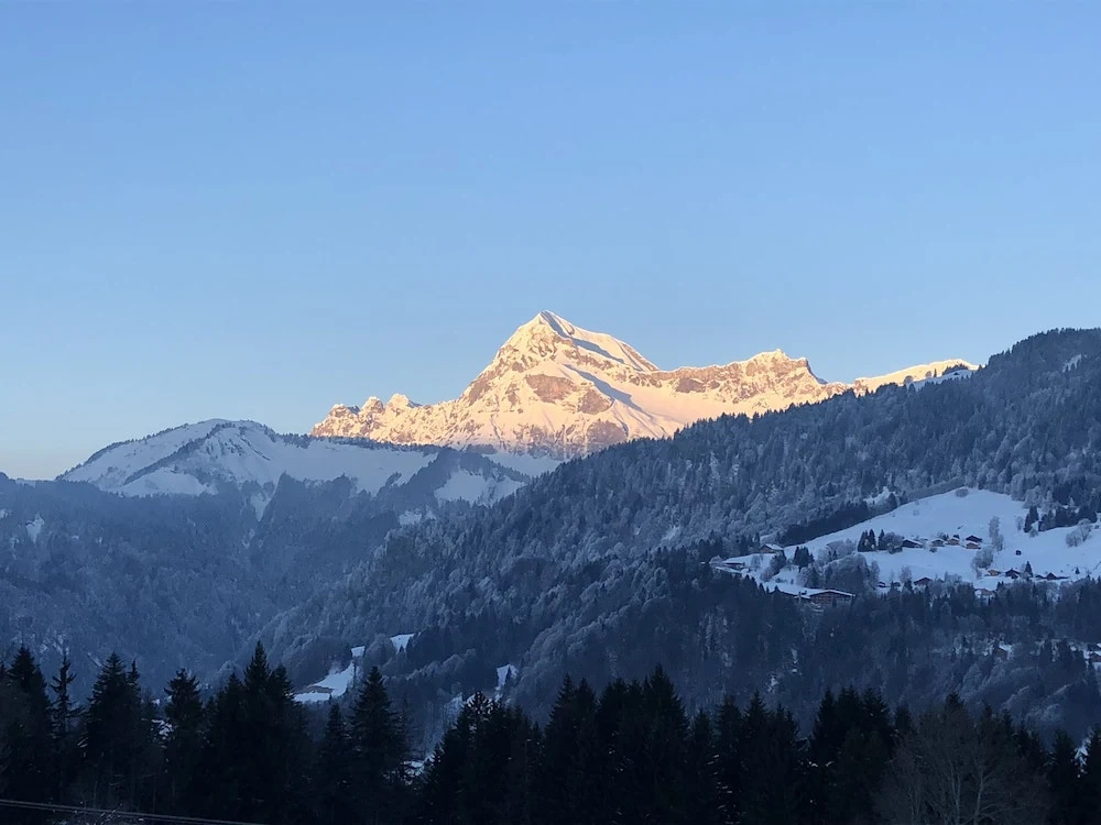 Chalet Nanook