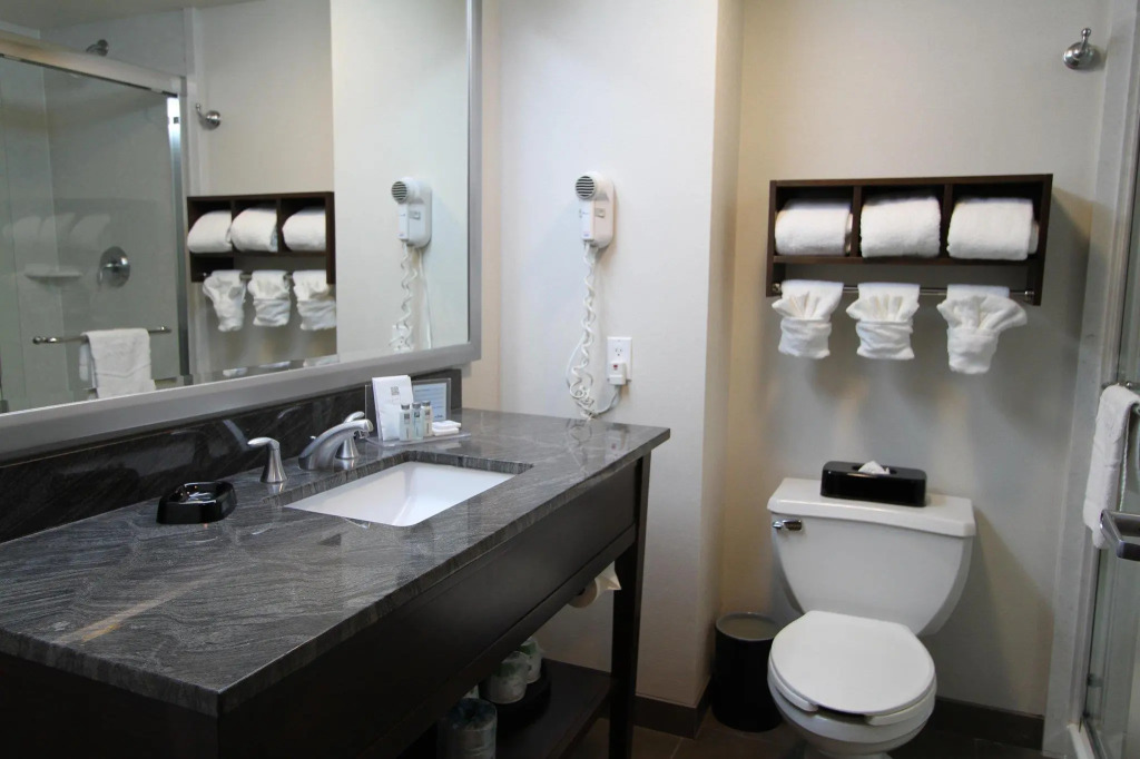 SpringHill Suites by Marriott Seattle Downtown/South Lake Union