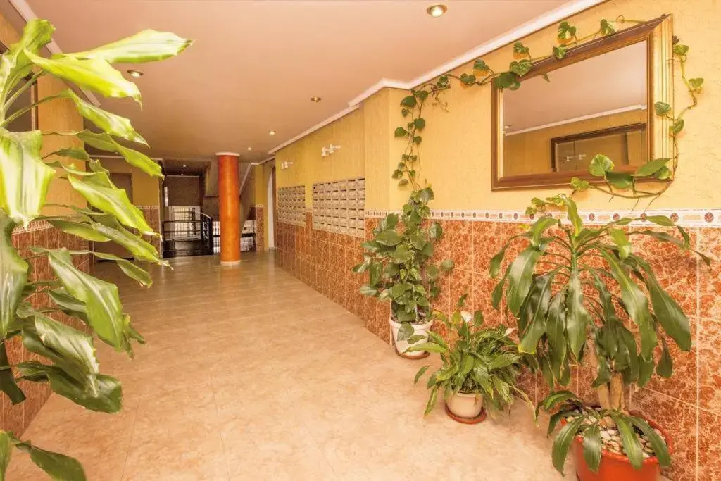 Apartamento Felix la Fuente