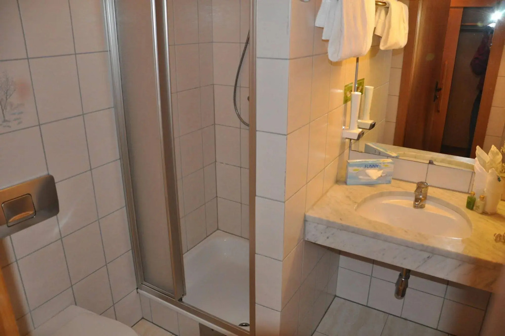 Stammhaus im Hotel Alpine Palace