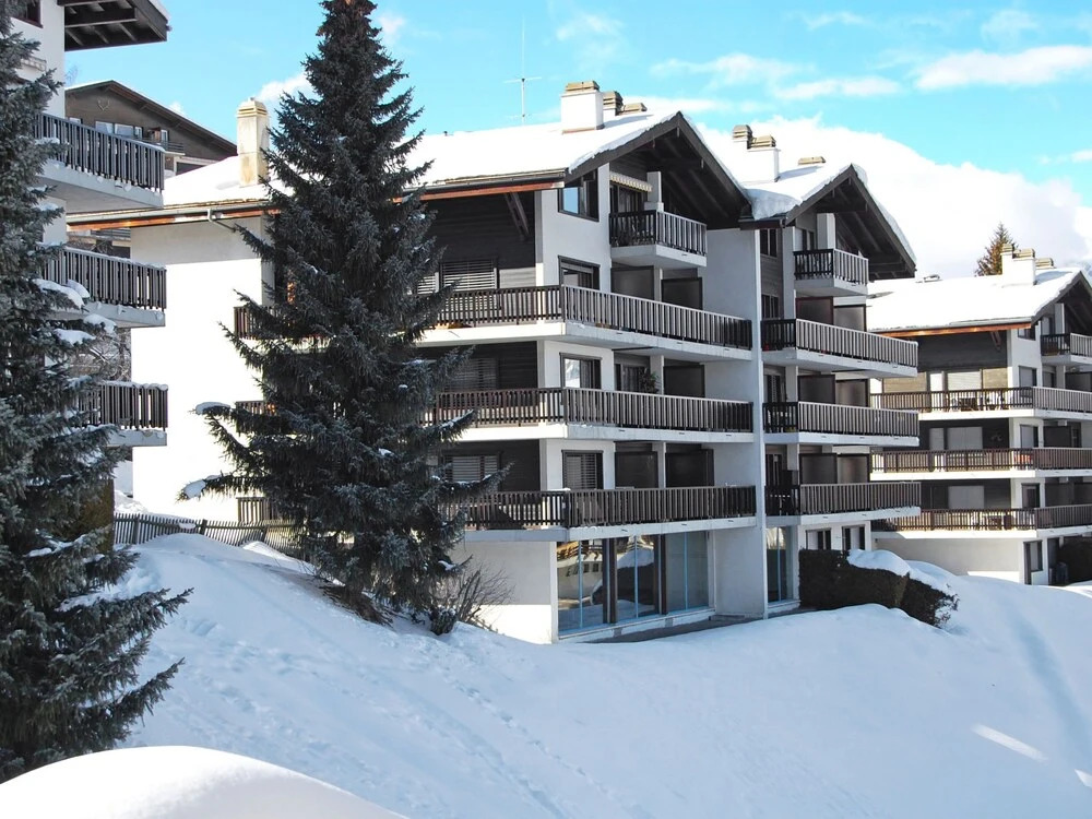 Arnica 16 Haute-nendaz