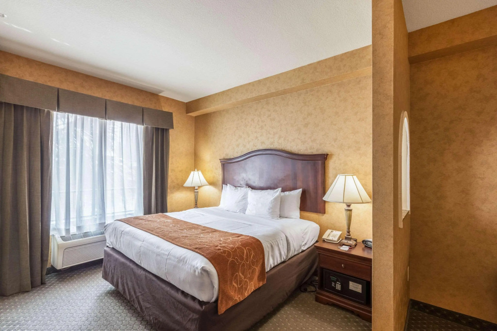 Comfort Suites Alamo-River walk