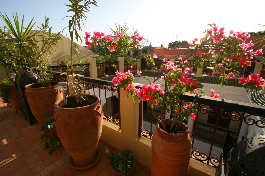 Riad Africa - Marrakech Medina Maison dHote